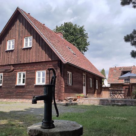 Ferienhaus Am Muehlteich Rietschen Exteriör bild